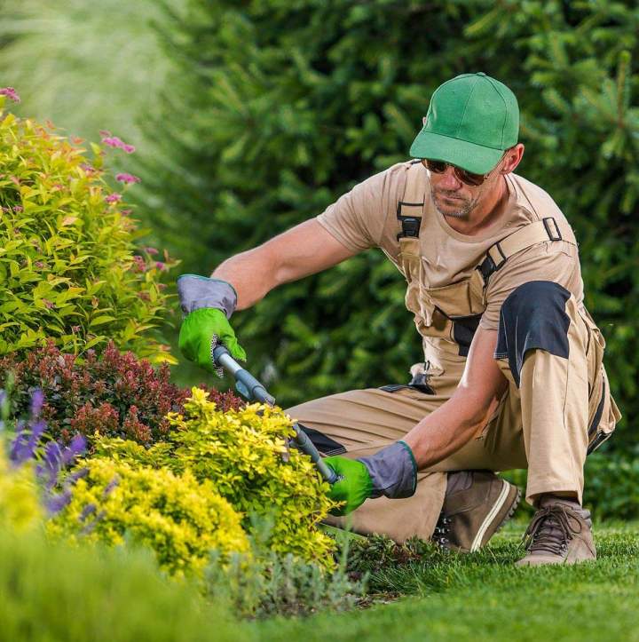 Aménagement paysager sur mesure pour optimiser l’esthétique de votre jardin. 